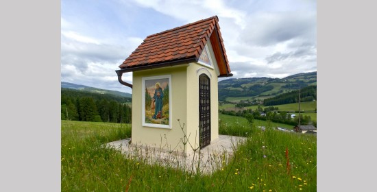 Sametkreuz - Bild 7