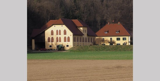 Ziegelgitterfenster vulgo Kletzer - Bild 7