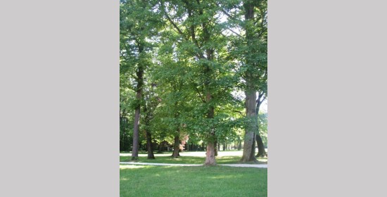 Schlosspark Ravne - Bild 1