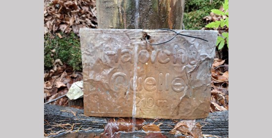 Brunnen Habichtquelle - Bild 6