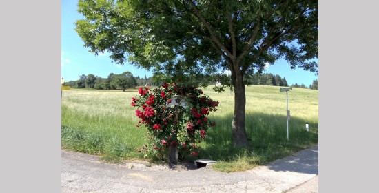 Haidenbichlerkreuz - Bild 2