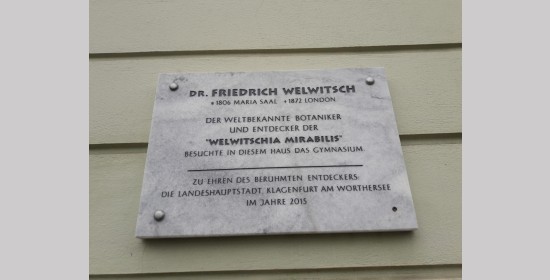 Welwitsch Gedenktafel - Bild 1