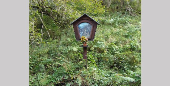 Frauentumpfkreuz - Bild 1