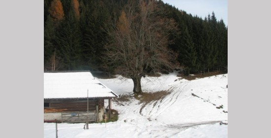  - Bild 4
