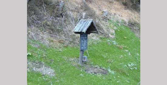 Moser Taferl - Bild 2