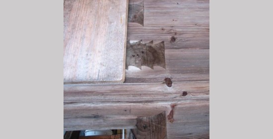  - Bild 4