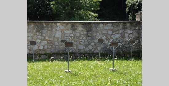 Kriegsgräber 1. Weltkrieg Arnoldstein - Bild 2