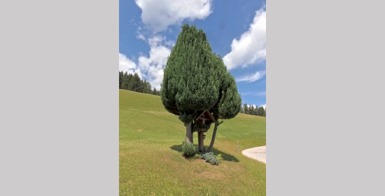 Dullerkreuz Kliening - Bild 3