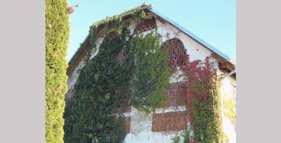 Ziegelgitterfenster Staunighof - Bild 6