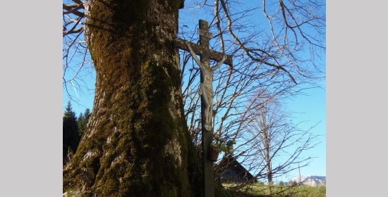 Krainberger Kreuz - Bild 2