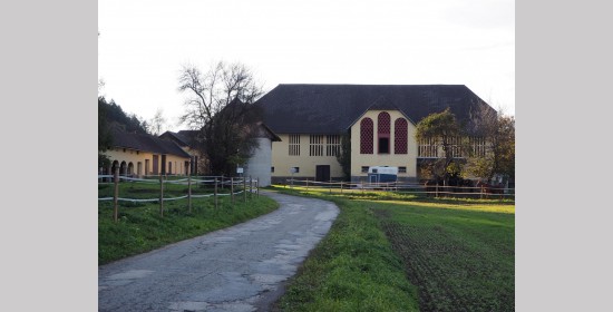 Ziegelgitterfenster vulgo Wirth - Bild 2