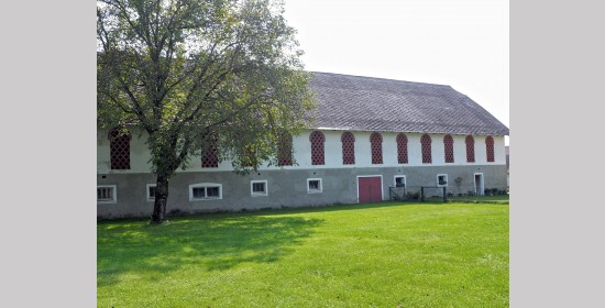 Ziegelgitterfenster vulgo Schnitzhube - Bild 7