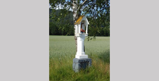 Kohlweißkreuz - Bild 5
