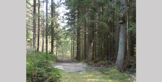 Jakltaferl - Bild 2