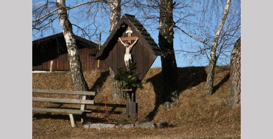 Forstnerwirtkreuz - Bild 1