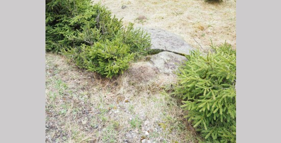 Wurmstein - Bild 7