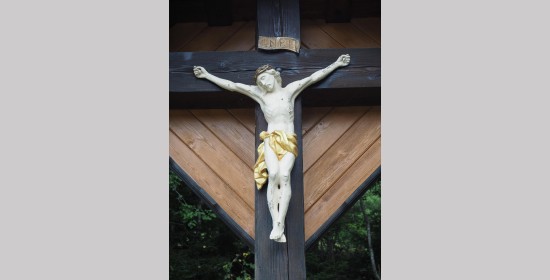 Laichkreuz - Bild 4