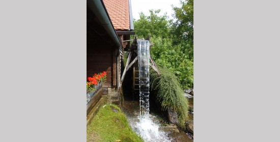 Schaumühle Gemmersdorf - Bild 3