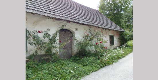 Haustüre vulgo Zgank - Bild 6