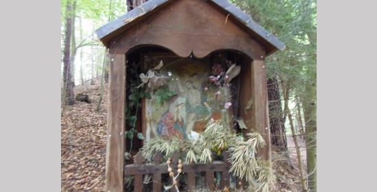 Gichltaferl - Bild 5