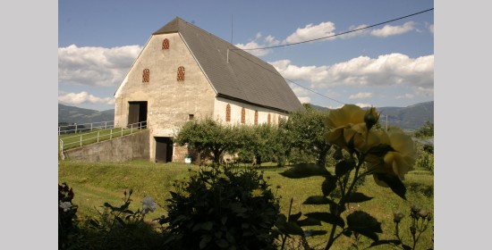 Ziegelgitterfenster Schloss Himmelau - Bild 5