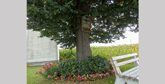 Kreuz beim Lindenbaum - Bild 3