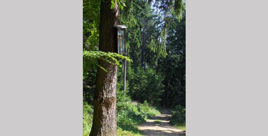 Purkova tabla pri Štekneči bajti - Bild 4