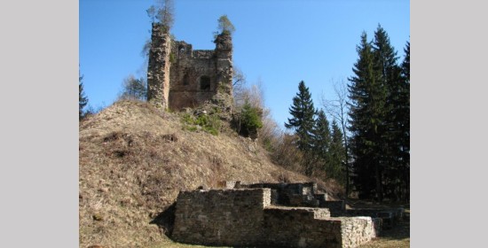 Schloss Vodriž - Bild 1