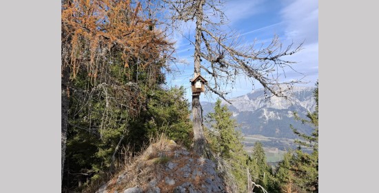 Aussichtsplatz und Bildbaum am Habichtblick - Bild 6