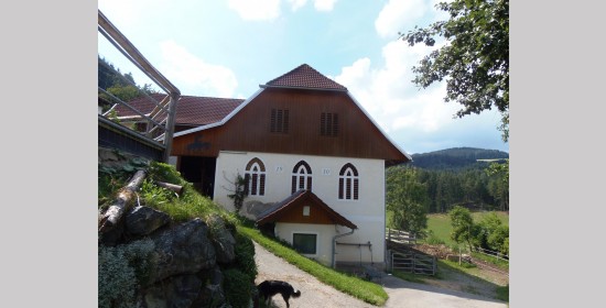 Ziegelgitterfenster vulgo Pohoinig - Bild 1