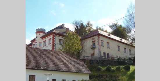 Allianzwappen Schloss Paternion - Bild 3