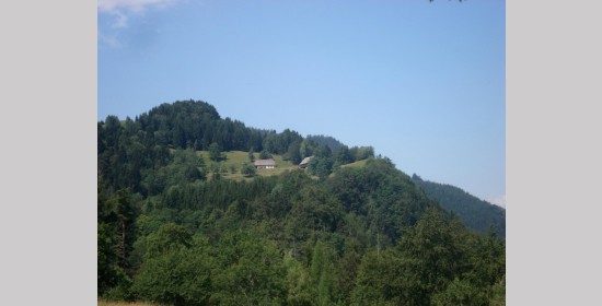 Truppe-Hof in Untertechanting - Bild 7