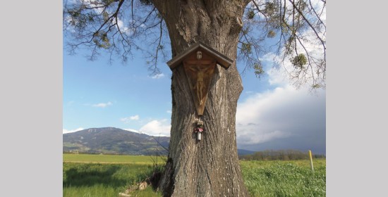 Niederlekreuz - Bild 1