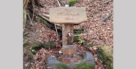 Brunnen Habichtquelle - Bild 1