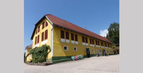 Ziegelgitterfenster Ranftlhof - Bild 1