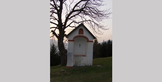  - Bild 5