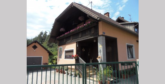 Fassadenmalerei Wohnhaus Hartlieb - Bild 3