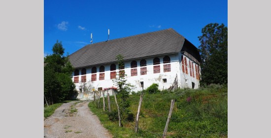 Ziegelgitterfenster vulgo Puller - Bild 1