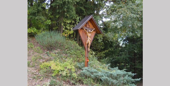 Kogelraderkreuz - Bild 2