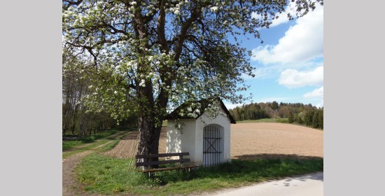 Rannerkreuz - Bild 5