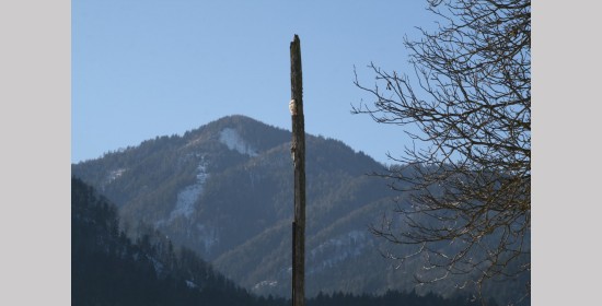 Mithras - Wächtersäule II in Pöllan - Bild 5
