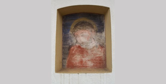 Rotschnigkreuz - Bild 2