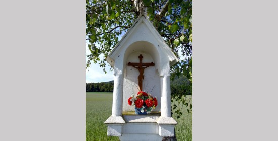 Kohlweißkreuz - Bild 4